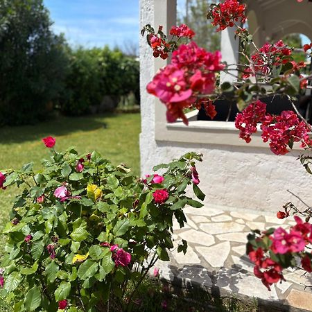 Ferienwohnung Sirios Acharavi  Exterior foto