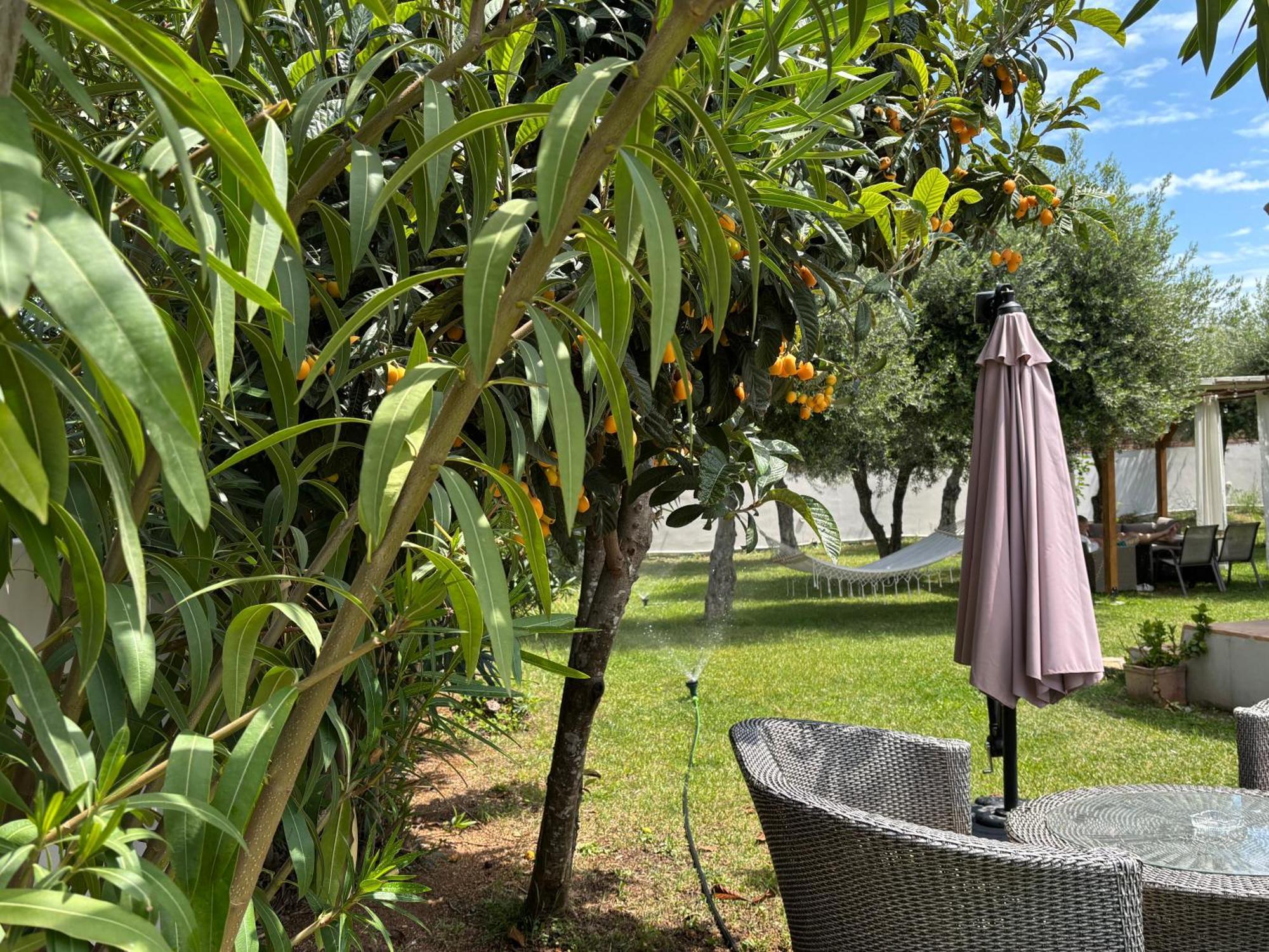 Ferienwohnung Sirios Acharavi  Exterior foto
